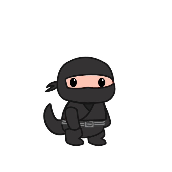 Ninja outfit
