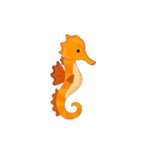 Sea horse companion