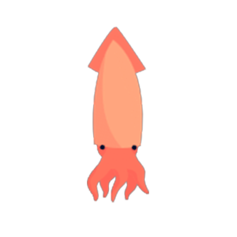 Squid companion