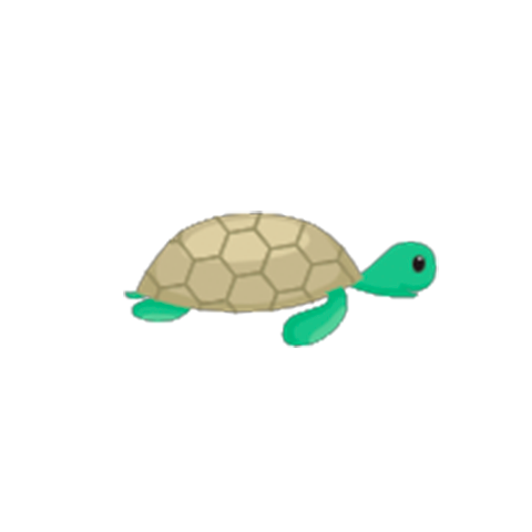 Turtle companion